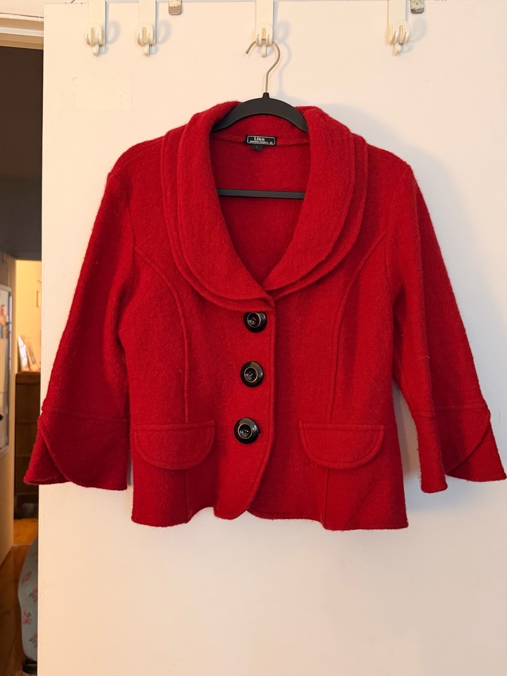 Red Boiled Wool Blazer Button Jacket
